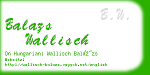 balazs wallisch business card